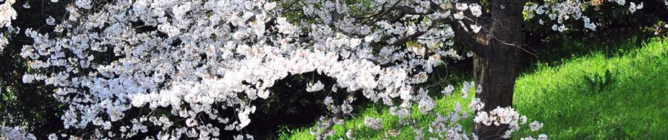 My Blog